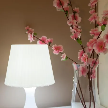 Bed & Breakfast & Restaurant Il Castagneto